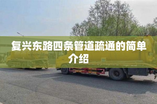 复兴东路四条管道疏通的简单介绍