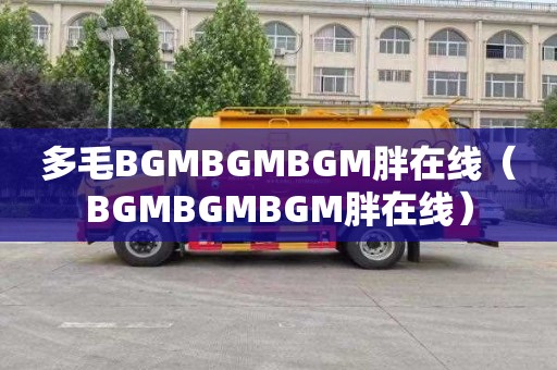 多毛BGMBGMBGM胖在线（BGMBGMBGM胖在线）