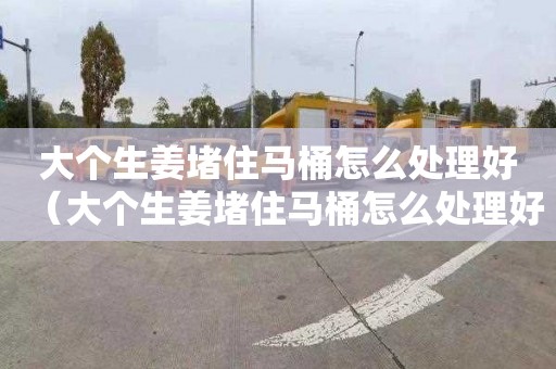 大个生姜堵住马桶怎么处理好（大个生姜堵住马桶怎么处理好呢）