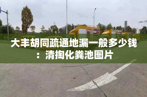 大丰胡同疏通地漏一般多少钱：清掏化粪池图片