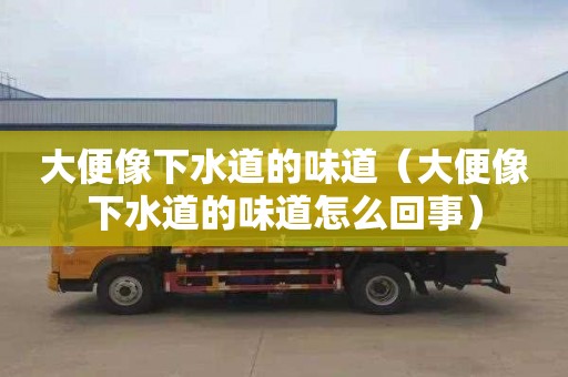 大便像下水道的味道（大便像下水道的味道怎么回事）