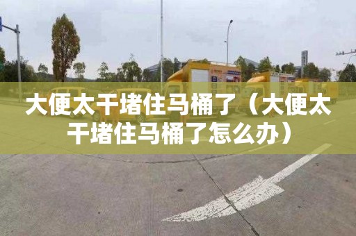 大便太干堵住马桶了（大便太干堵住马桶了怎么办）