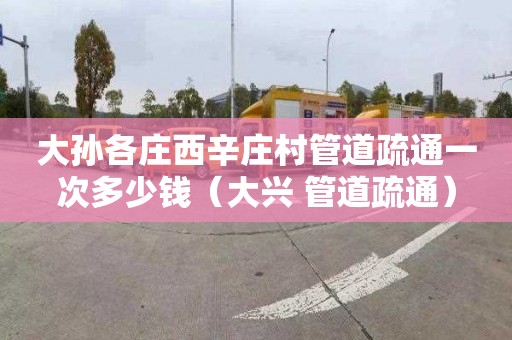 大孙各庄西辛庄村管道疏通一次多少钱（大兴 管道疏通）