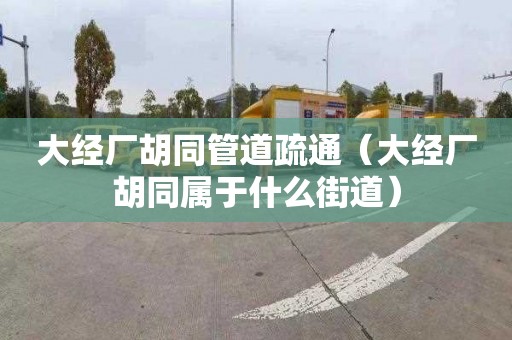 大经厂胡同管道疏通（大经厂胡同属于什么街道）