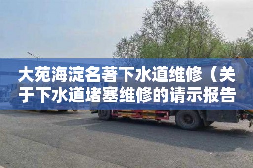 大苑海淀名著下水道维修（关于下水道堵塞维修的请示报告）