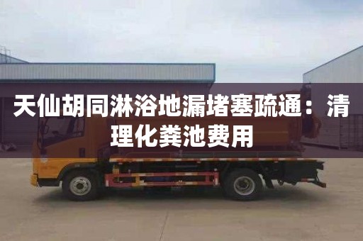 天仙胡同淋浴地漏堵塞疏通：清理化粪池费用