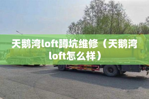 天鹅湾loft蹲坑维修（天鹅湾loft怎么样）