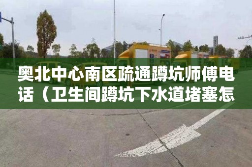 奥北中心南区疏通蹲坑师傅电话（卫生间蹲坑下水道堵塞怎样疏通）