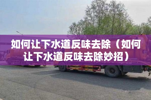 如何让下水道反味去除（如何让下水道反味去除妙招）