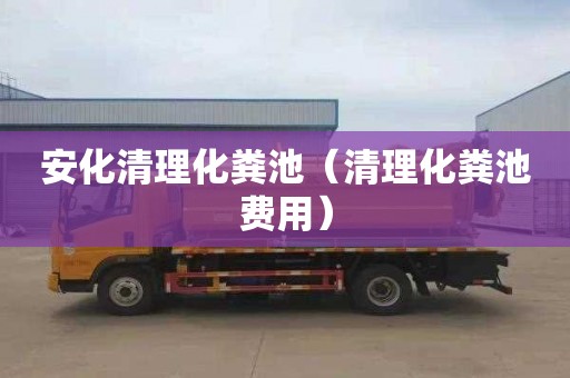 安化清理化粪池（清理化粪池费用）