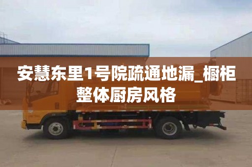 安慧东里1号院疏通地漏_橱柜整体厨房风格