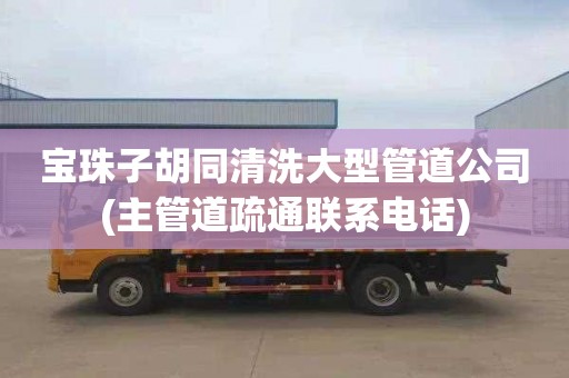 宝珠子胡同清洗大型管道公司(主管道疏通联系电话)