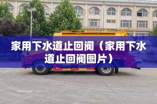 家用下水道止回阀（家用下水道止回阀图片）