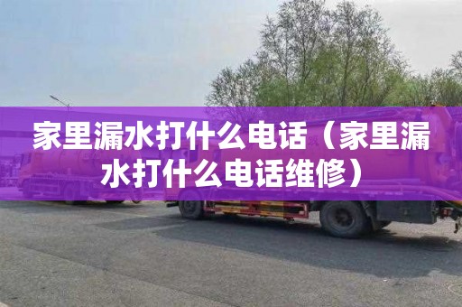 家里漏水打什么电话（家里漏水打什么电话维修）