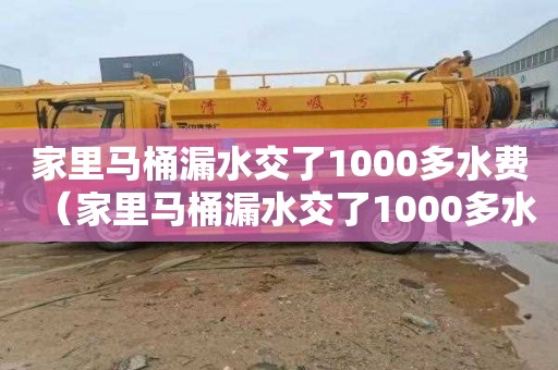 家里马桶漏水交了1000多水费（家里马桶漏水交了1000多水费怎么办）