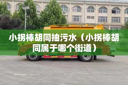 小拐棒胡同抽污水（小拐棒胡同属于哪个街道）