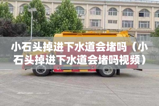 小石头掉进下水道会堵吗（小石头掉进下水道会堵吗视频）