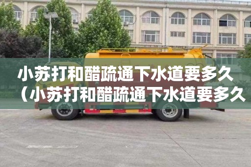 小苏打和醋疏通下水道要多久（小苏打和醋疏通下水道要多久才能通）