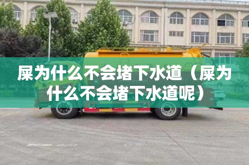 屎为什么不会堵下水道（屎为什么不会堵下水道呢）