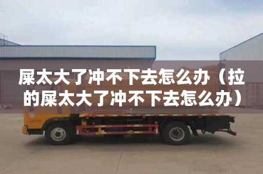 屎太大了冲不下去怎么办（拉的屎太大了冲不下去怎么办）