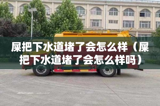 屎把下水道堵了会怎么样（屎把下水道堵了会怎么样吗）