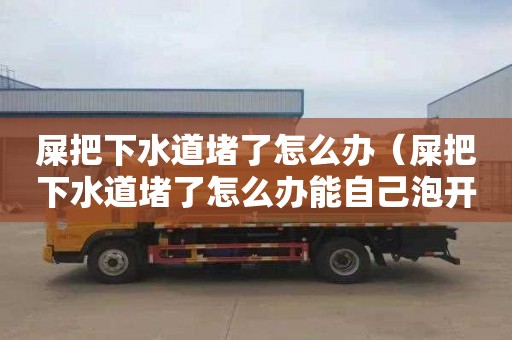 屎把下水道堵了怎么办（屎把下水道堵了怎么办能自己泡开吗）