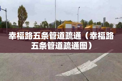 幸福路五条管道疏通（幸福路五条管道疏通图）