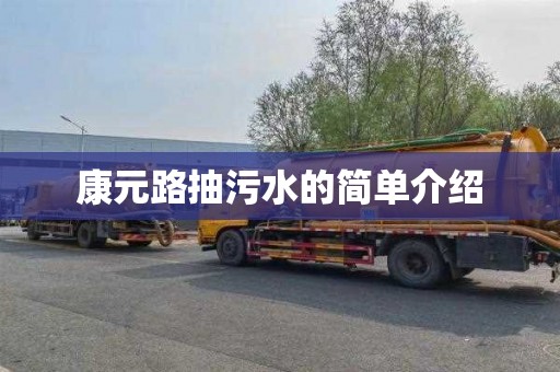 康元路抽污水的简单介绍