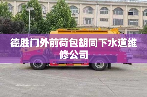 德胜门外前荷包胡同下水道维修公司