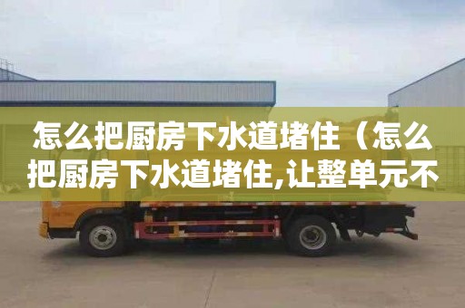 怎么把厨房下水道堵住（怎么把厨房下水道堵住,让整单元不能用下水）