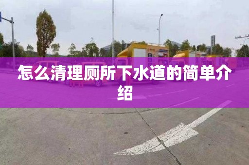 怎么清理厕所下水道的简单介绍