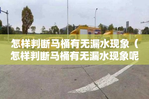 怎样判断马桶有无漏水现象（怎样判断马桶有无漏水现象呢）