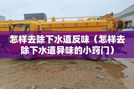 怎样去除下水道反味（怎样去除下水道异味的小窍门）