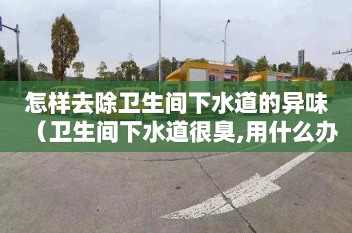 怎样去除卫生间下水道的异味（卫生间下水道很臭,用什么办法能解除臭味?）