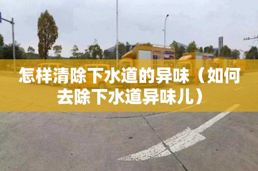 怎样清除下水道的异味（如何去除下水道异味儿）