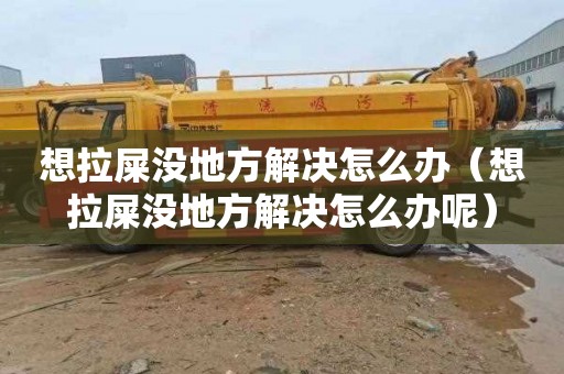 想拉屎没地方解决怎么办（想拉屎没地方解决怎么办呢）