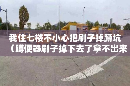 我住七楼不小心把刷子掉蹲坑（蹲便器刷子掉下去了拿不出来）