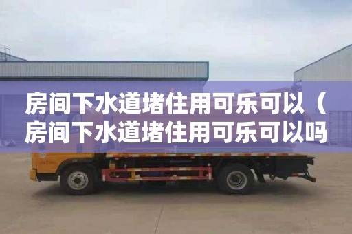 房间下水道堵住用可乐可以（房间下水道堵住用可乐可以吗）