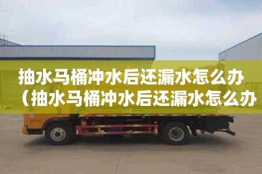 抽水马桶冲水后还漏水怎么办（抽水马桶冲水后还漏水怎么办呢）