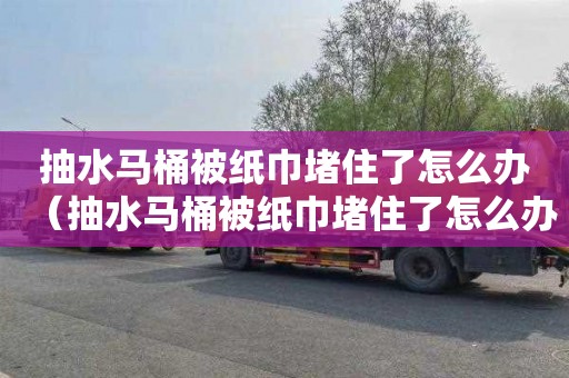 抽水马桶被纸巾堵住了怎么办（抽水马桶被纸巾堵住了怎么办啊）