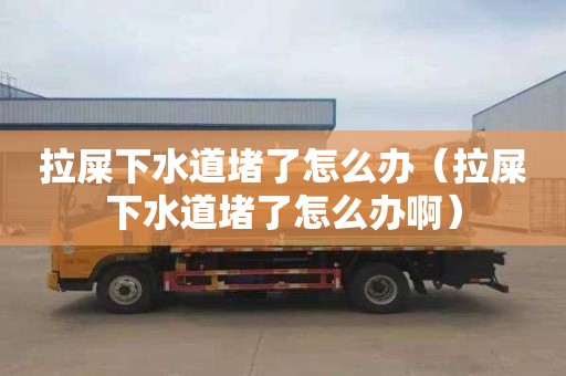 拉屎下水道堵了怎么办（拉屎下水道堵了怎么办啊）