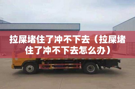 拉屎堵住了冲不下去（拉屎堵住了冲不下去怎么办）