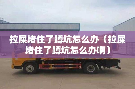 拉屎堵住了蹲坑怎么办（拉屎堵住了蹲坑怎么办啊）