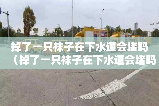 掉了一只袜子在下水道会堵吗（掉了一只袜子在下水道会堵吗视频）