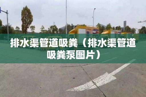 排水渠管道吸粪（排水渠管道吸粪泵图片）