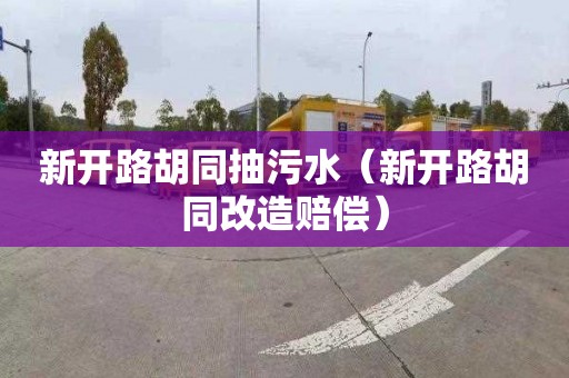 新开路胡同抽污水（新开路胡同改造赔偿）