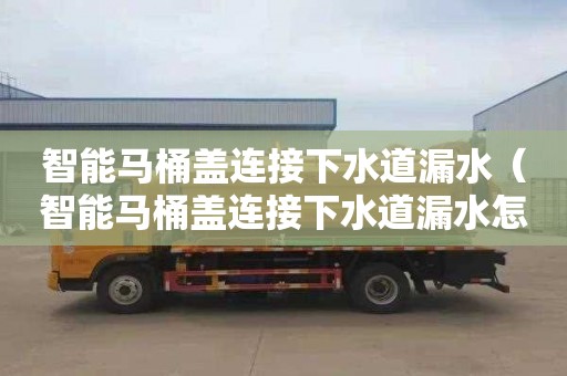 智能马桶盖连接下水道漏水（智能马桶盖连接下水道漏水怎么办）