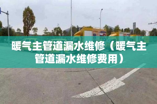 暖气主管道漏水维修（暖气主管道漏水维修费用）