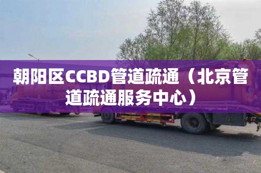 朝阳区CCBD管道疏通（北京管道疏通服务中心）