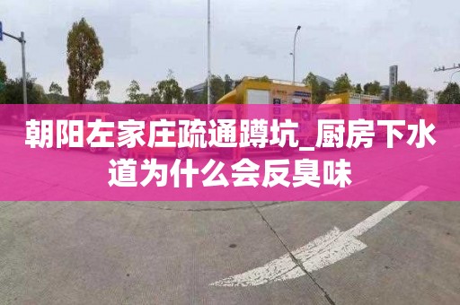 朝阳左家庄疏通蹲坑_厨房下水道为什么会反臭味